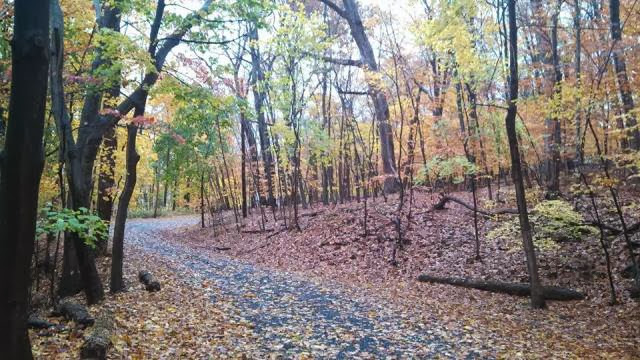 Deer Park Camp & Retreat Center - Event Venue in New Hope, Pennsylvania