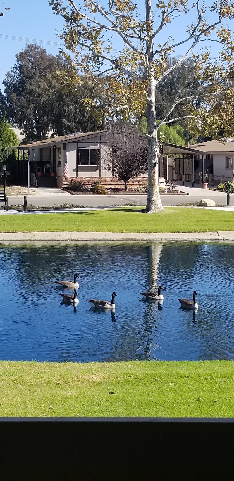 Meadow Lake - Event Venue in Oxnard, California