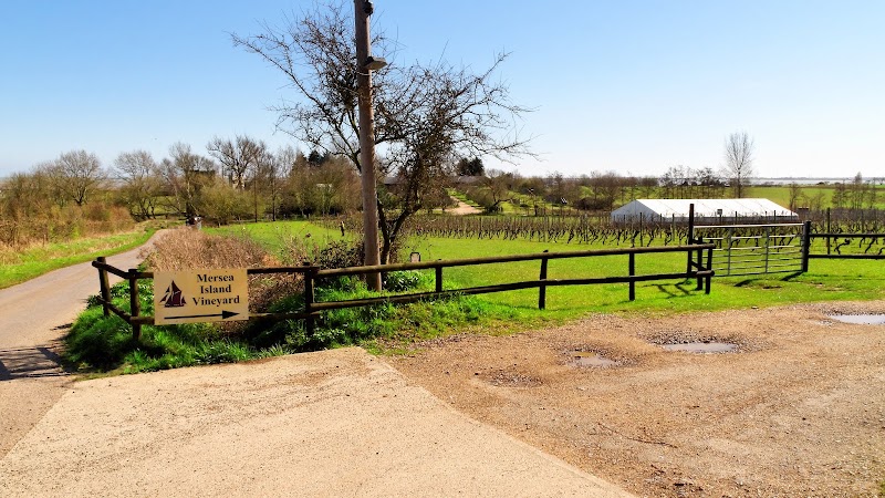 Mersea Island Vineyard - Event Venue in Colchester, Essex