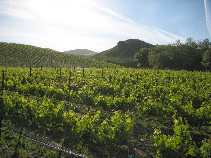 Bassetti Vineyards - Event Venue in Cambria, California