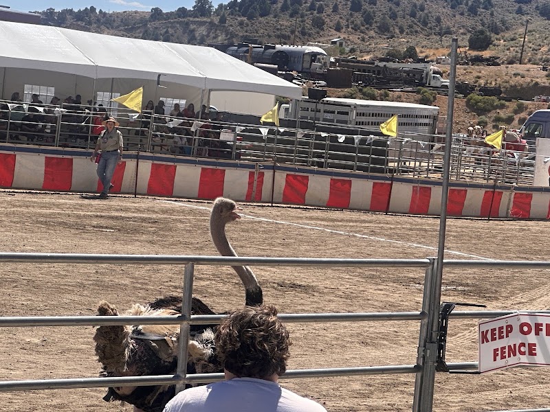 Virginia City Fairgrounds - Event Venue in Virginia City, Nevada