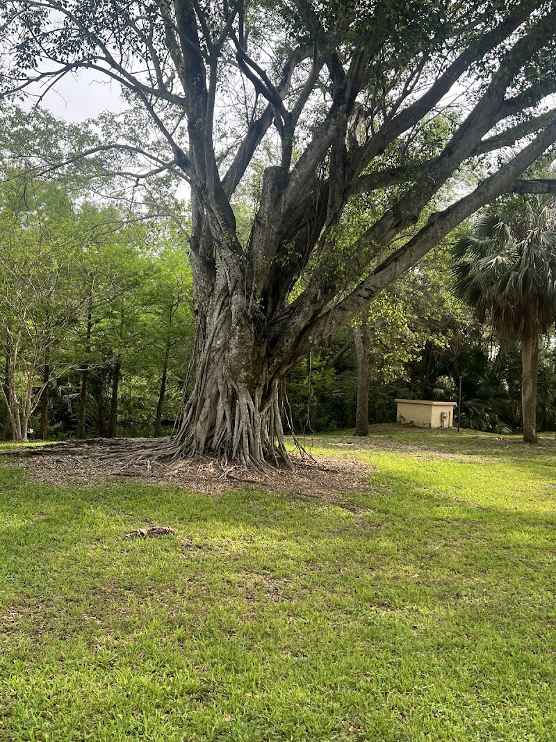 Orchid Park Pavilion - Event Venue in Coral Springs, Florida