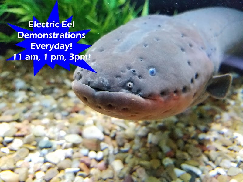 Medicine Park Aquarium and Natural Sciences Center - Event Venue in Medicine Park, Oklahoma