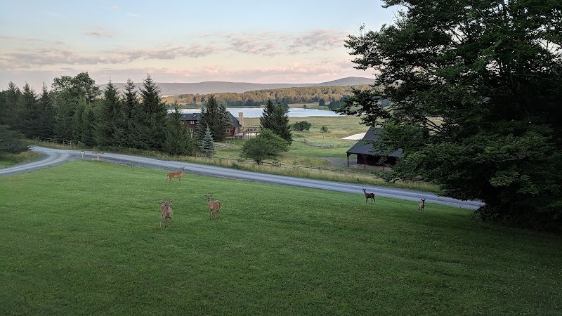 Peaceful View Mountain Retreat - Event Venue in Davis, West Virginia