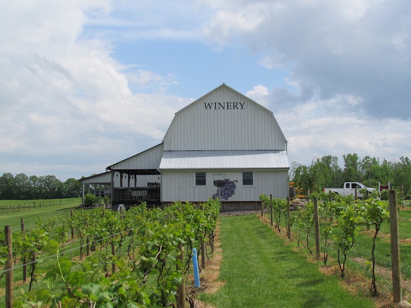 Izzo's White Barn Winery - Event Venue in Cayuga, New York