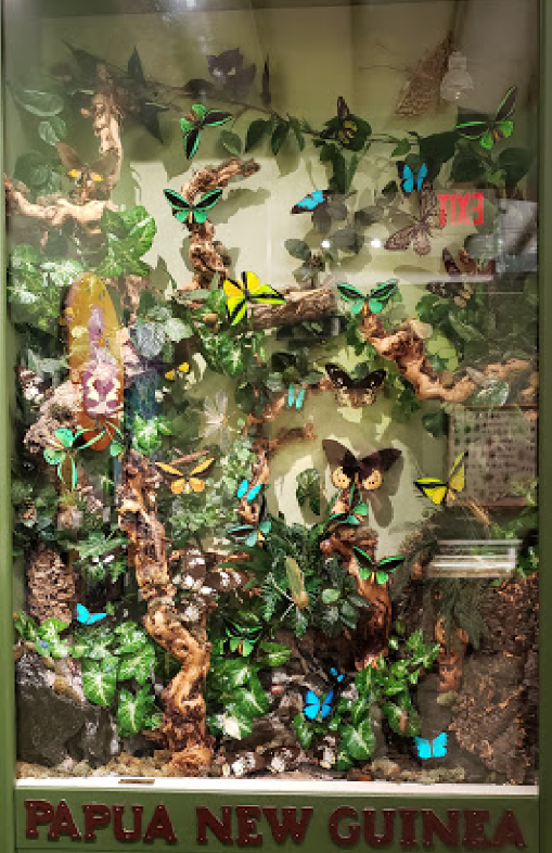 Insectropolis - Event Venue in Toms River, New Jersey