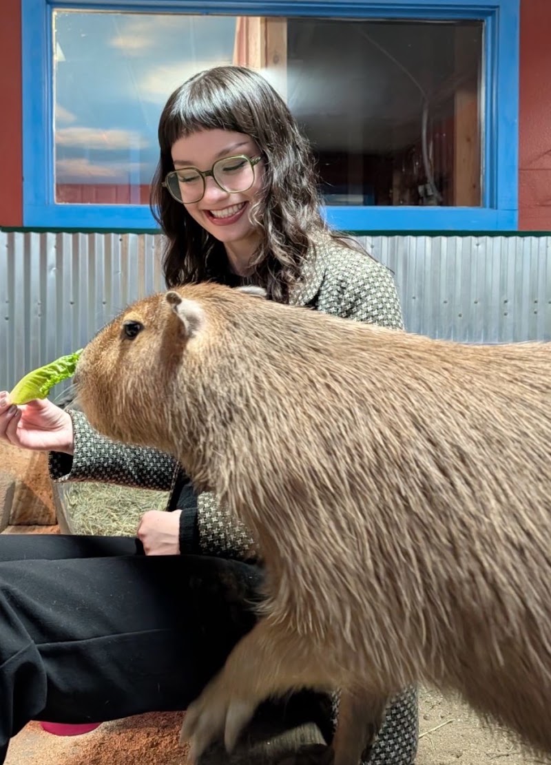 Big Red's Barn Indoor Animal Experience and Education - Event Venue in Coeur d'Alene, Idaho