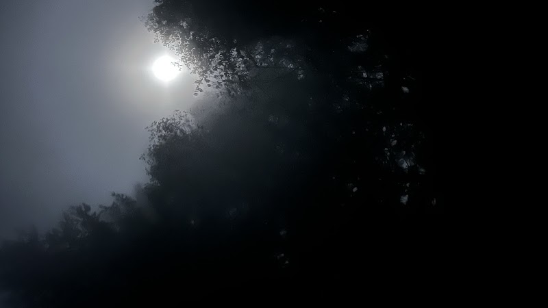 Dark Retreats Oregon - Event Venue in Tidewater, Oregon