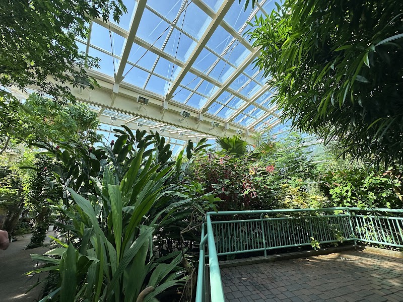 Magic Wings Butterfly House & Bayer CropScience Insectarium - Event Venue in Durham, North Carolina