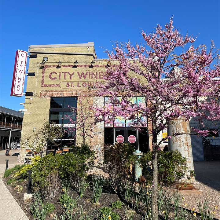 City Winery St. Louis - Event Venue in St. Louis, Missouri