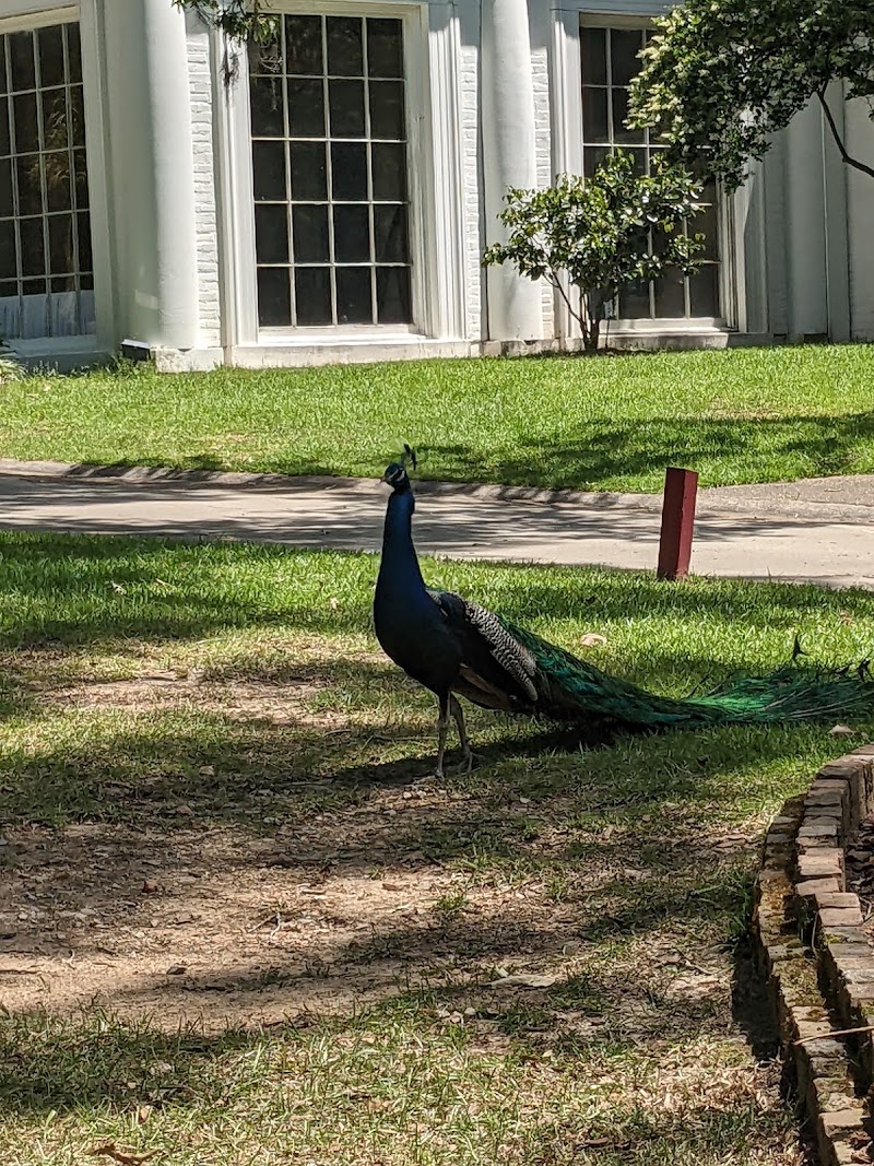 Hemingbough Guest House - Event Venue in Saint Francisville, Louisiana