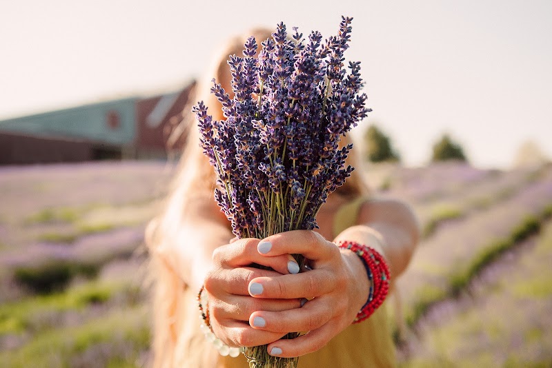 Lavender Hill Farm - Event Venue in Boyne City, Michigan
