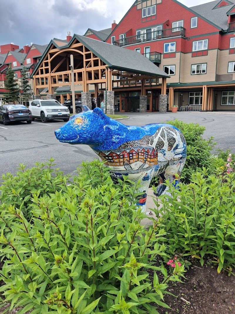 Grand Summit Resort, A Vail Resorts Property - Event Venue in Dover, Vermont