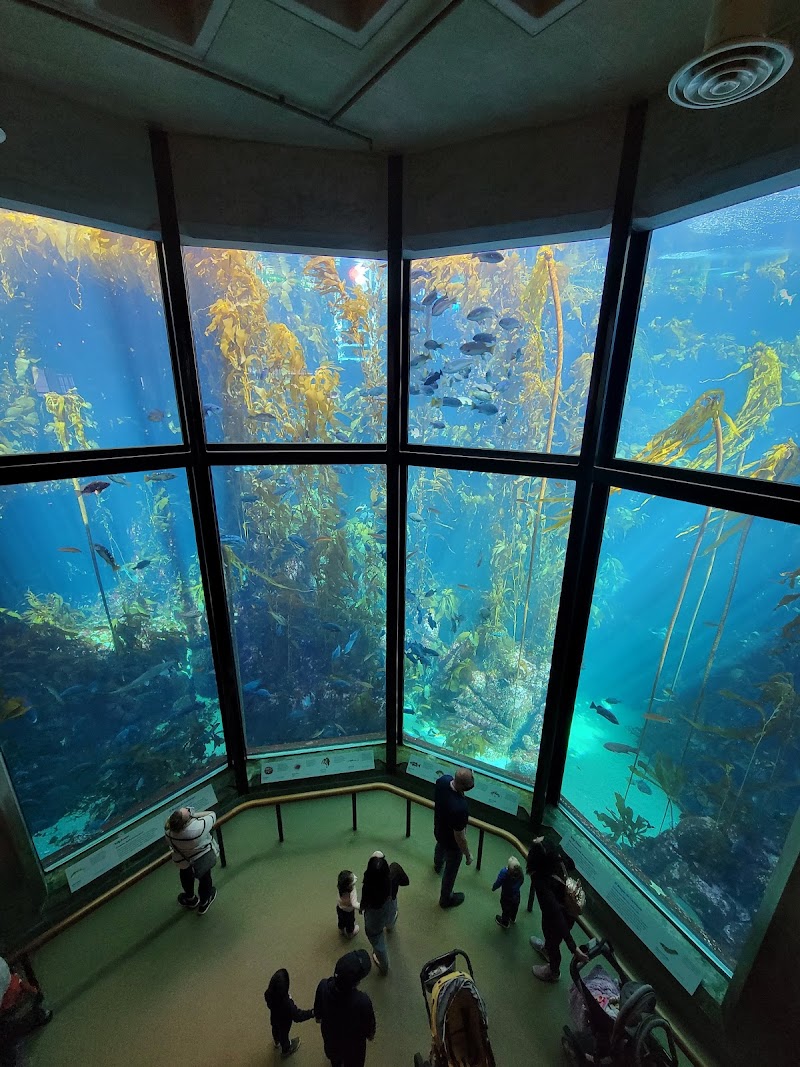 Monterey Bay Aquarium - Event Venue in Monterey, California