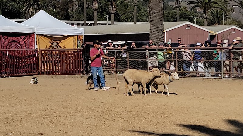 Seaside Highland Games - Event Venue in Ventura, California