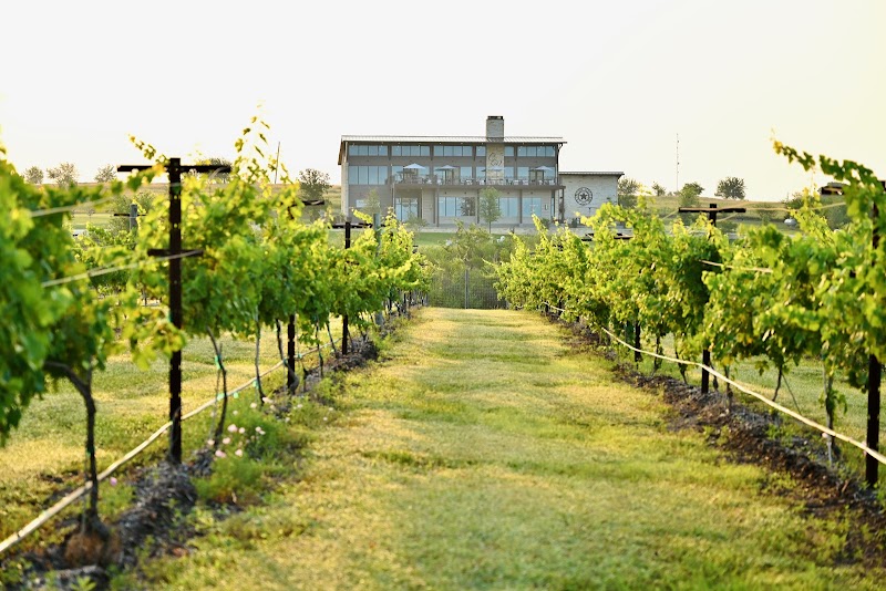Chapelton Vineyards - Event Venue in Washington, Texas