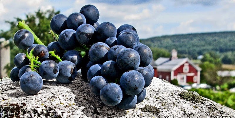 Boyden Valley Winery & Spirits - Event Venue in Cambridge, Vermont