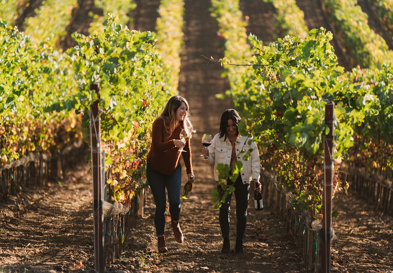 Cambria Winery/ Santa Maria - Event Venue in Los Olivos, California
