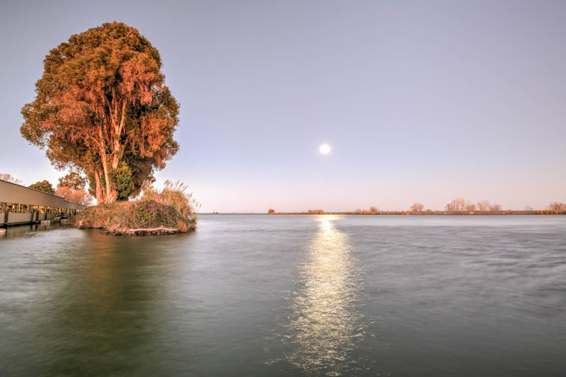B & W Resort Marina - Event Venue in Isleton, California