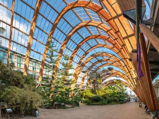 Winter Garden - Event Venue in Sheffield, South Yorkshire