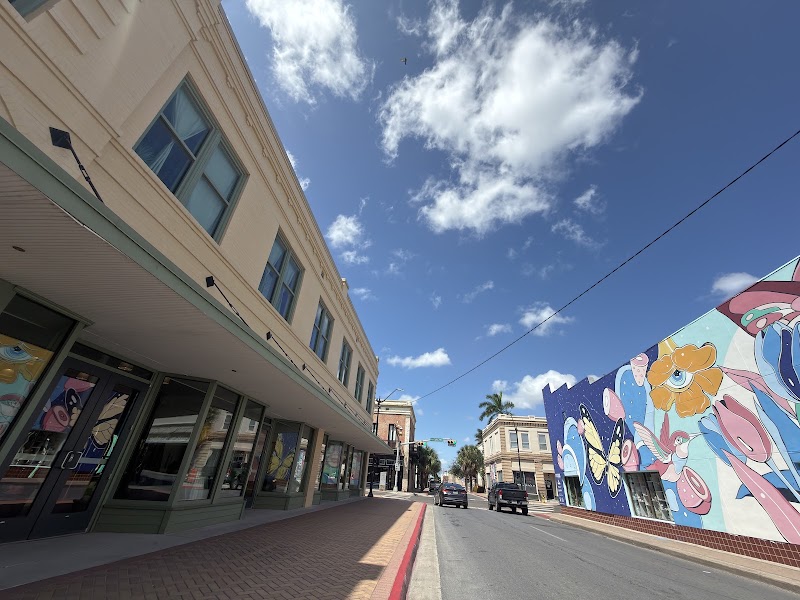 Brownsville Performing Arts Academy - Event Venue in Brownsville, Texas