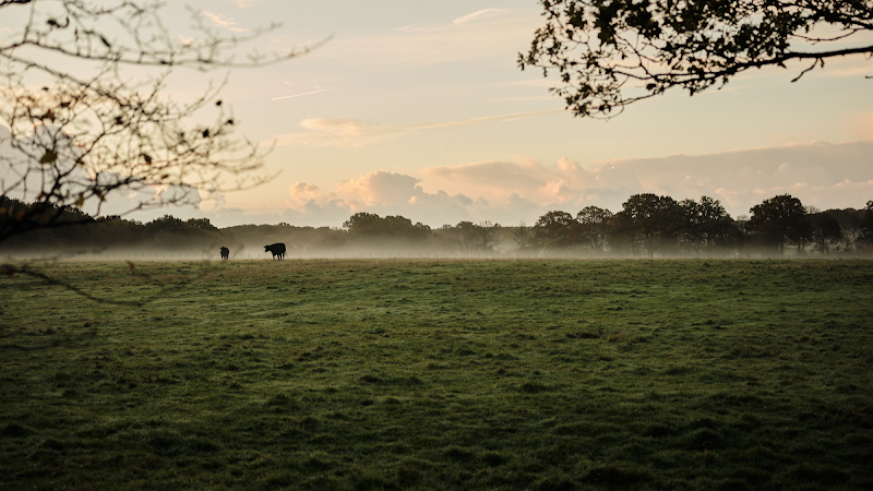 Green Farm: Day Spa, Retreats & Self Catering Barn - Event Venue in Shadoxhurst, Kent