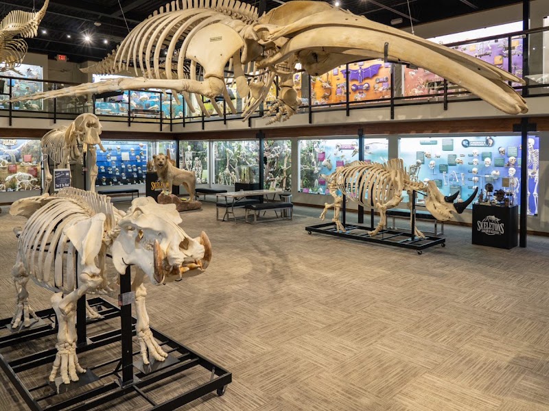 Museum of Osteology - Event Venue in Oklahoma City, Oklahoma