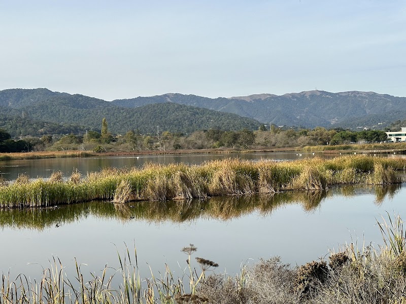 Anubhuti Meditation and Retreat Center - Event Venue in Novato, California