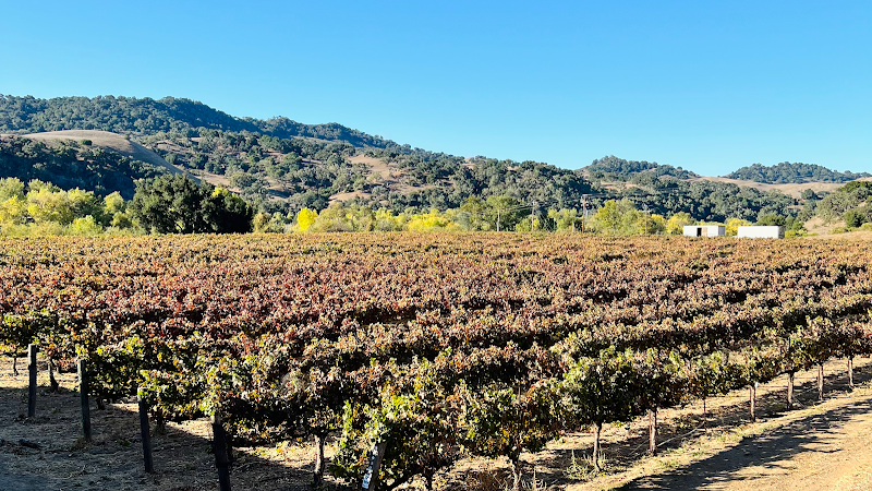 Sunstone Winery - Event Venue in Santa Ynez, California