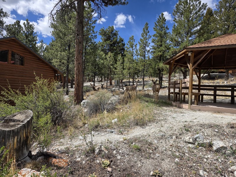 Silver Cliff Ranch - Event Venue in Nathrop, Colorado