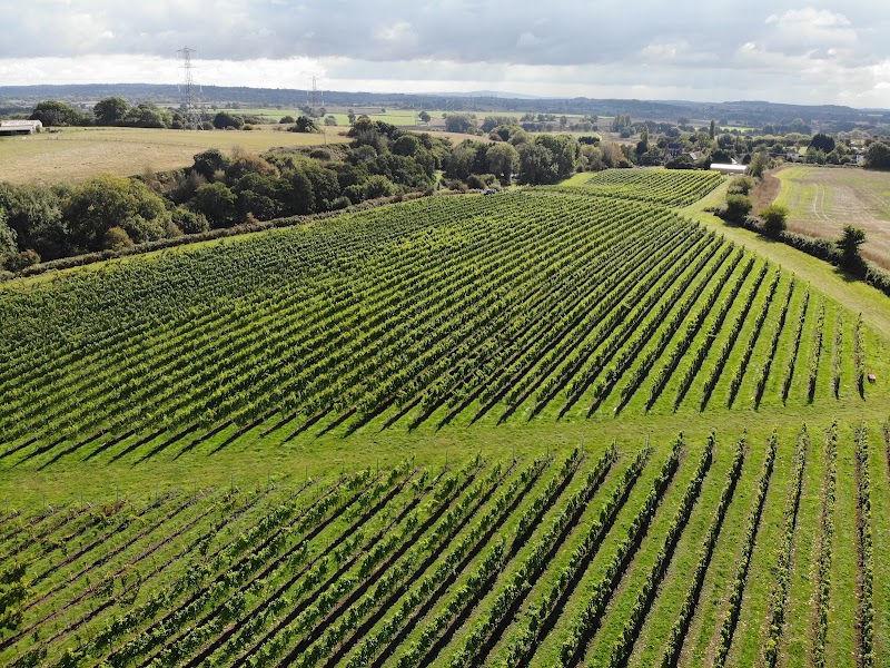Pattingham Vineyard - Event Venue in Pattingham, Staffordshire