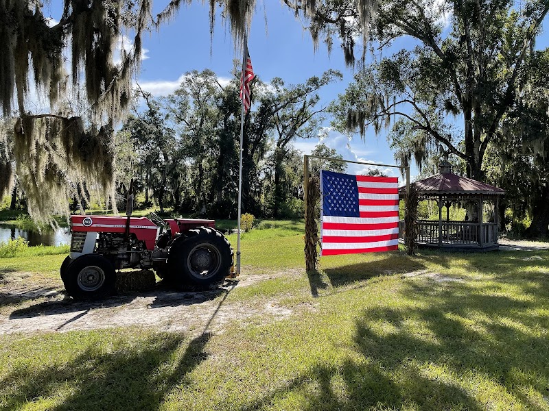 The Vineyards at Black Willow - Event Venue in Mims, Florida