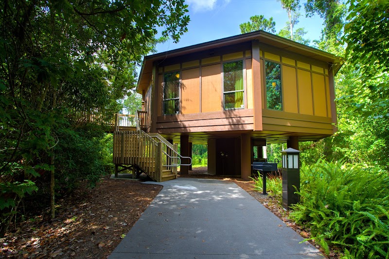 The Treehouse Villas At Disney's Saratoga Springs Resort And Spa - Event Venue in Lake Buena Vista, Florida