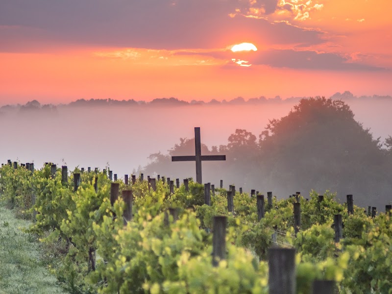 Chenault Vineyards - Event Venue in Richmond, Kentucky