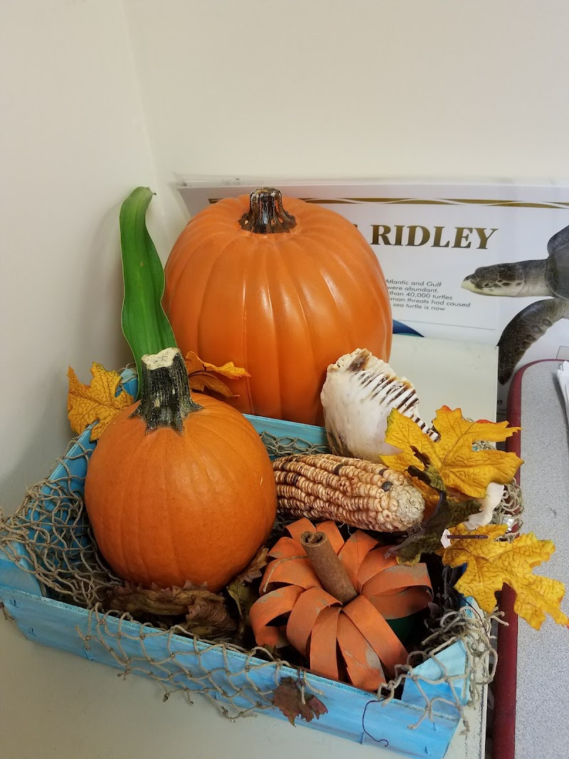 Rhoda L Martin Cultural Heritage - Event Venue in Jacksonville Beach, Florida