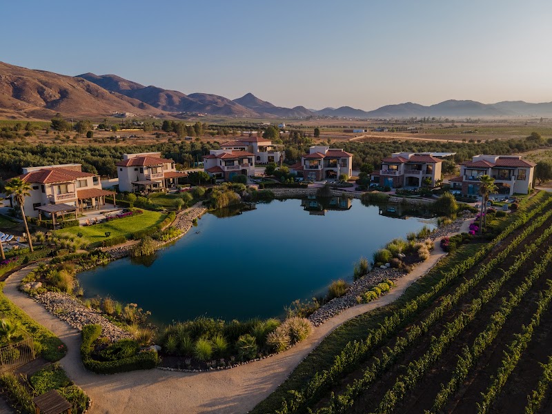 El Cielo Resort Valle de Guadalupe - Event Venue in Francisco Zarco, B.C.