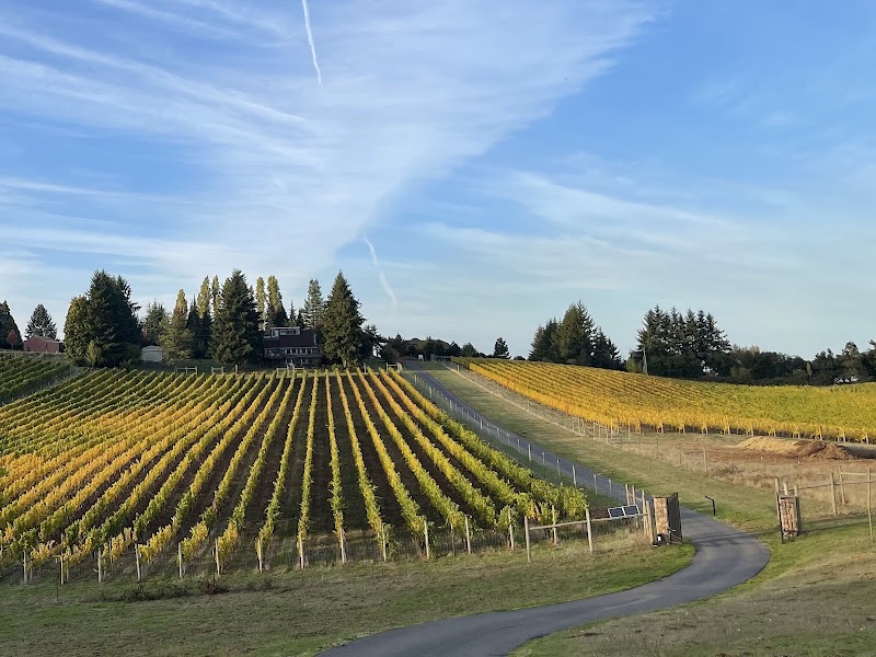 Benza Vineyards - Event Venue in Hillsboro, Oregon