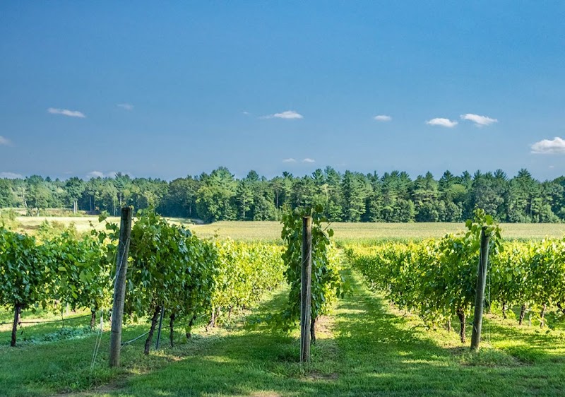 Flag Hill Distillery & Winery - Event Venue in Lee, New Hampshire