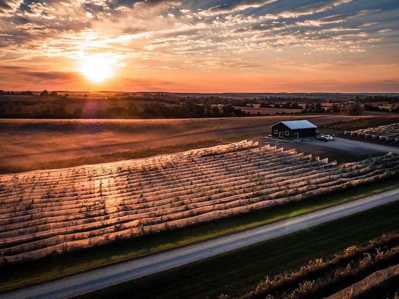 Rolling Grape Vineyard & Restaurant - Event Venue in Otonabee-South Monaghan, Ontario