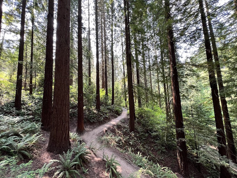 Hoyt Arboretum - Event Venue in Portland, Oregon