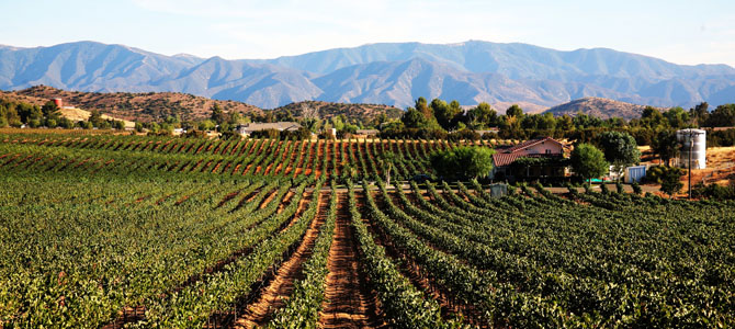 Reyes Winery - Event Venue in Santa Clarita, California