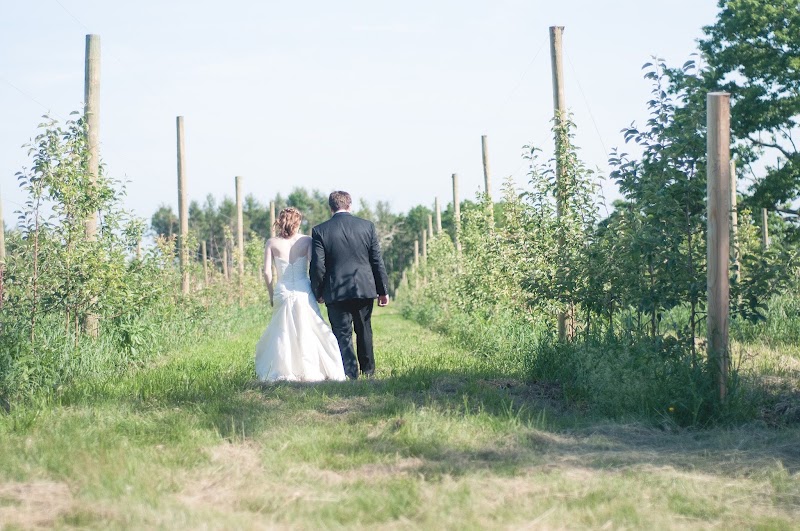 Vista of Maine Vineyard & Cidery Wedding Barn - Event Venue in Greene, Maine