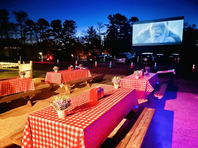 Swan Drive-In Theatre & Diner - Event Venue in Blue Ridge, Georgia