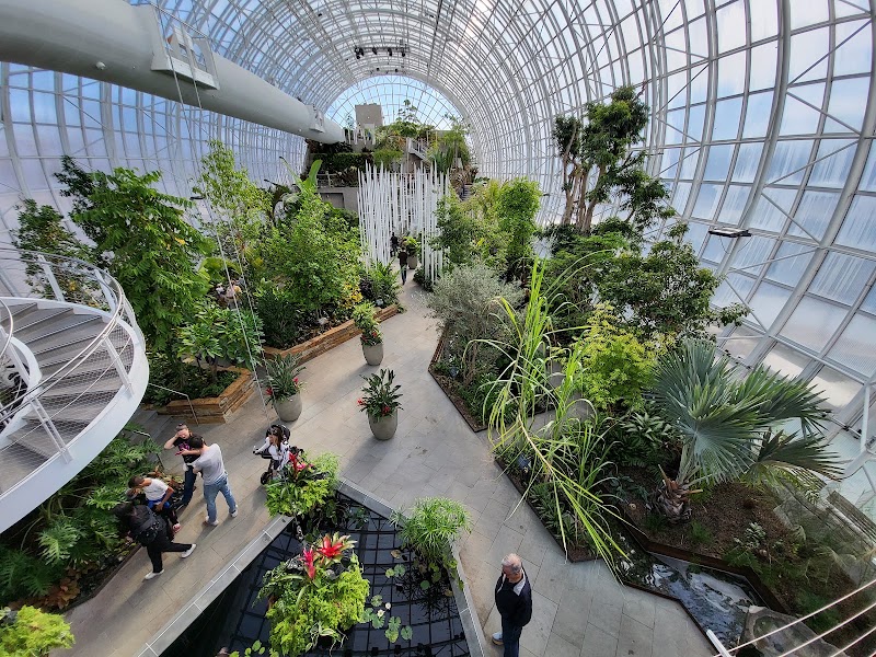 Myriad Botanical Gardens - Event Venue in Oklahoma City, Oklahoma