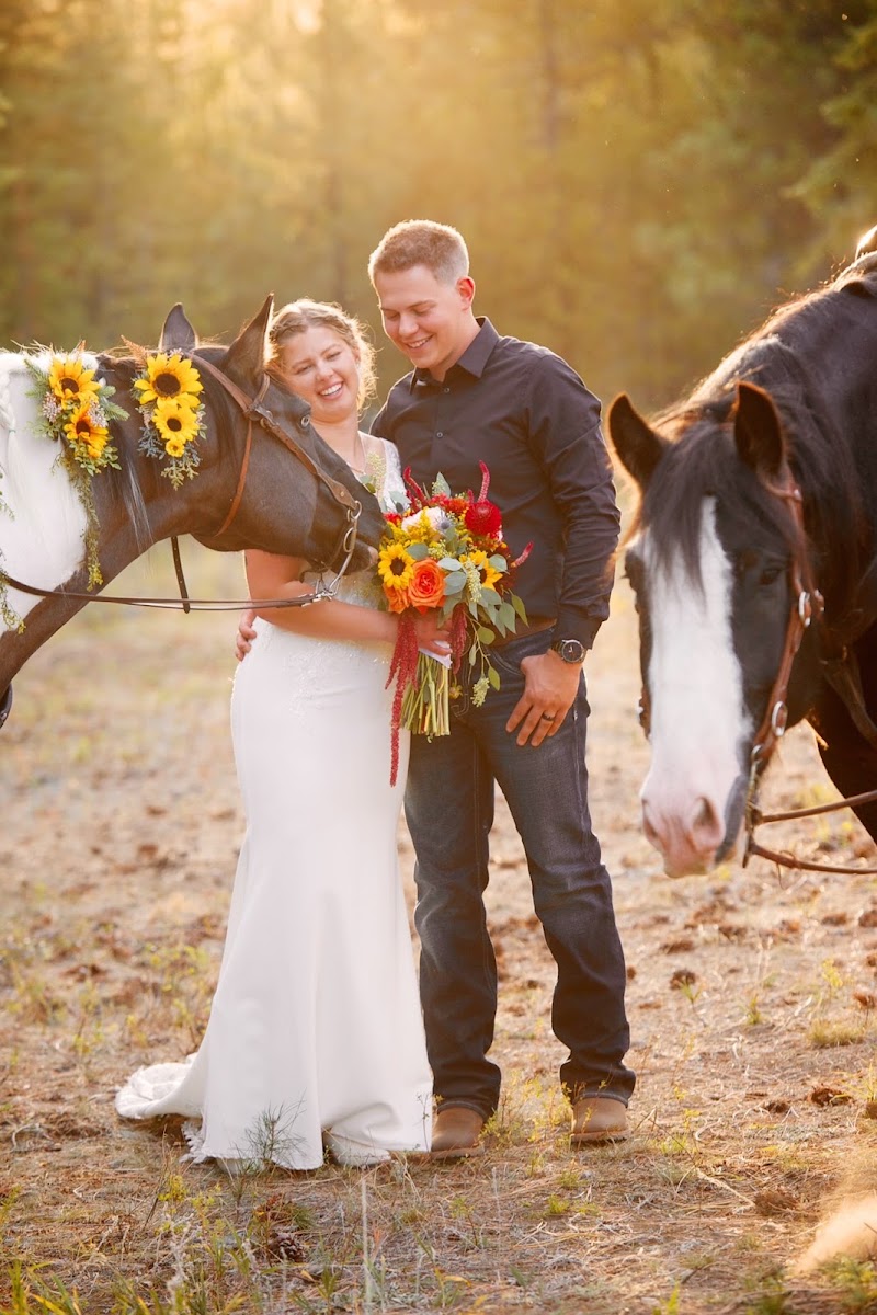 Kaniksu Pines Farm & Wedding Venue - Event Venue in Athol, Idaho