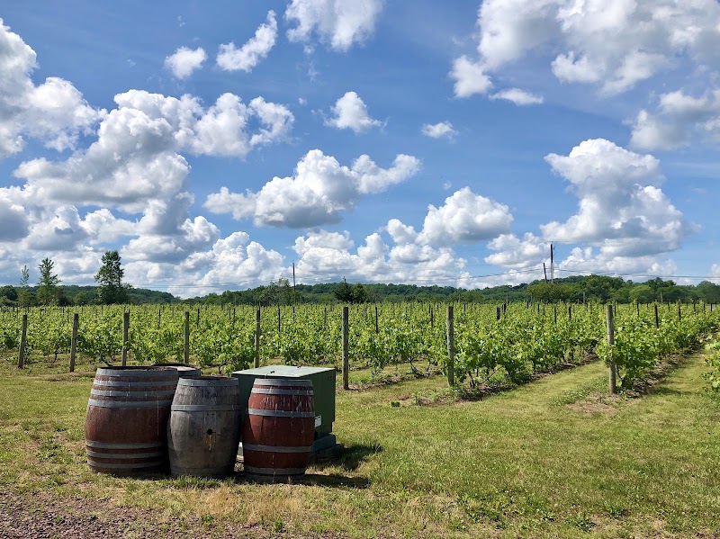 Hopewell Valley Vineyards - Event Venue in Pennington, New Jersey