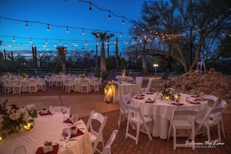 The Oasis at Wild Horse Ranch - Event Venue in Tucson, Arizona