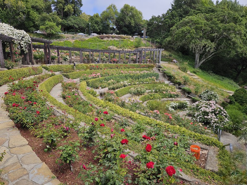 Berkeley Rose Garden - Event Venue in Berkeley, California