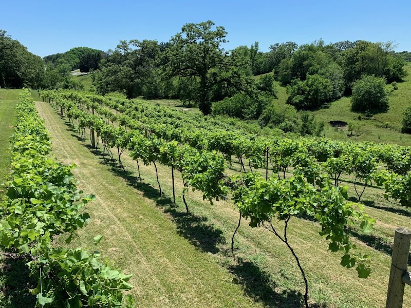 Old Oaks Winery - Event Venue in Milan, Illinois