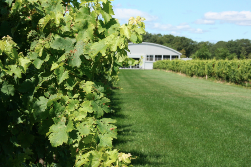 Saltwater Farm Vineyard - Event Venue in Stonington, Connecticut